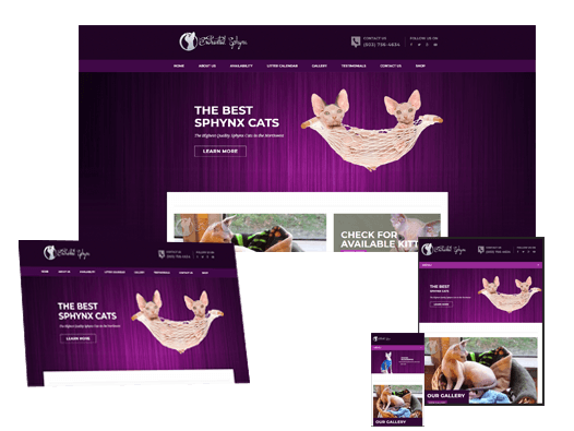 showcasing Enchanted Sphynx responsiveness on multiple screens